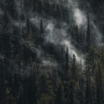 Unlocking Hidden Potential: Mastering Your Device's Secret Settings