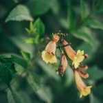 How to Successfully Transition Your Wardrobe Between Seasons