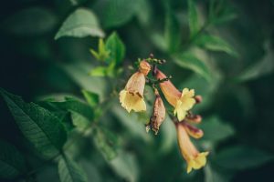 How to Successfully Transition Your Wardrobe Between Seasons