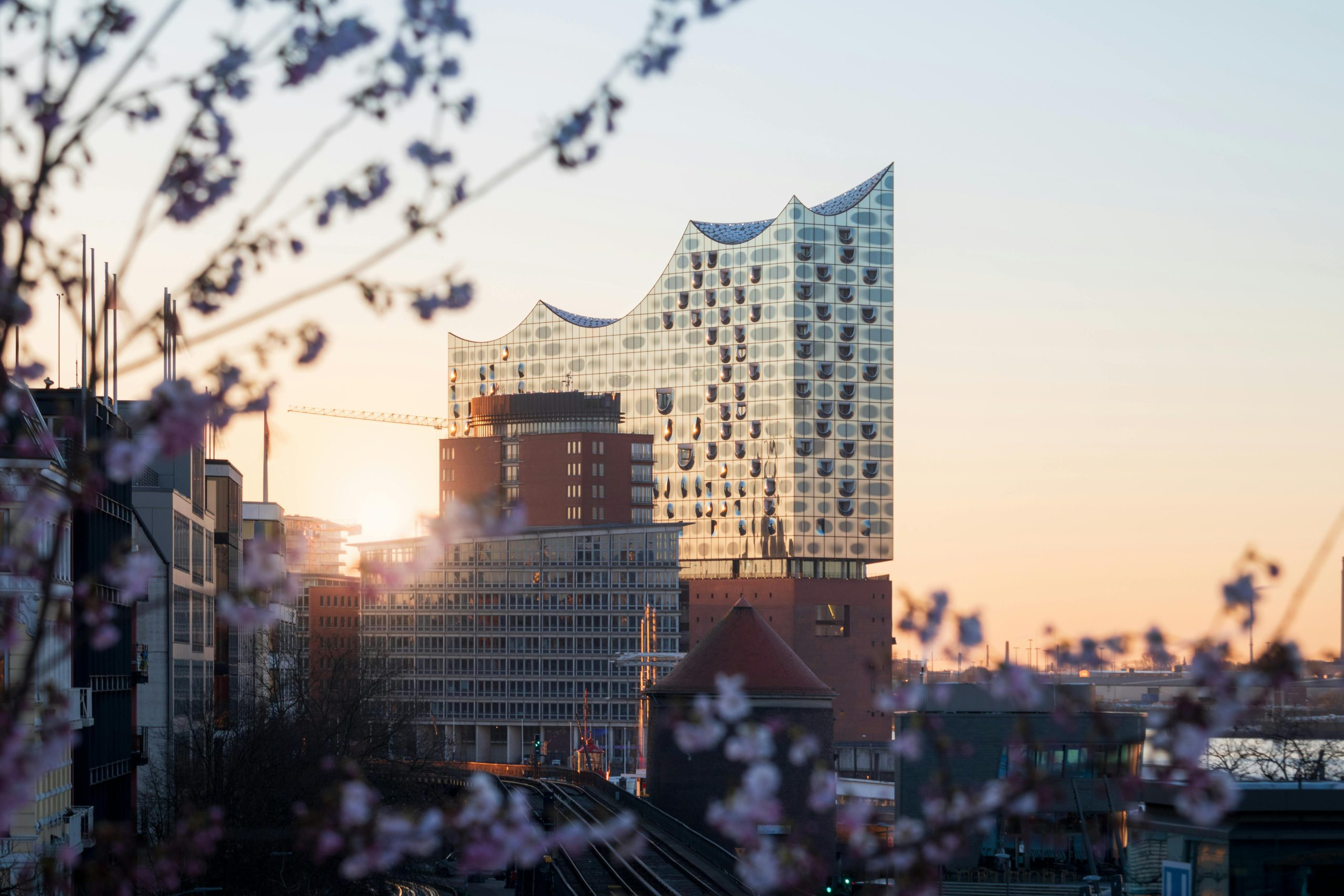 Building a Strong Financial Foundation Before Starting a Business