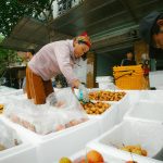 Shopping Locally: The Economic and Community Benefits Explained