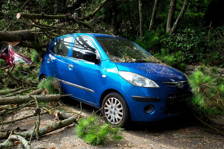 Innovative Methods for Reducing Vehicle Environmental Impact