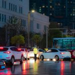 Strategies for Effective Vehicle Fleet Electrification