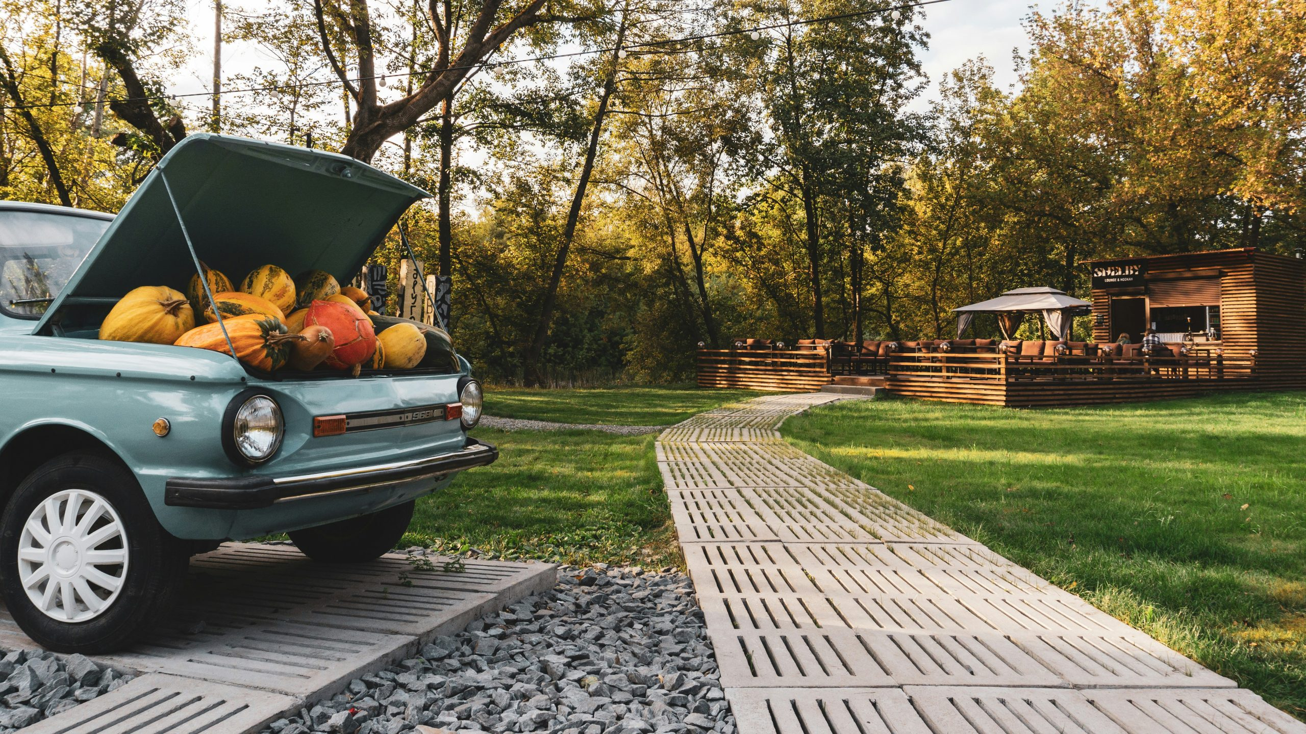 Exploring the Benefits of Long-Term Vehicle Rentals